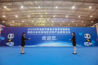 2019川貨電商節暨電子商務發展峰會 以技術開發為引擎，推動川貨走向世界